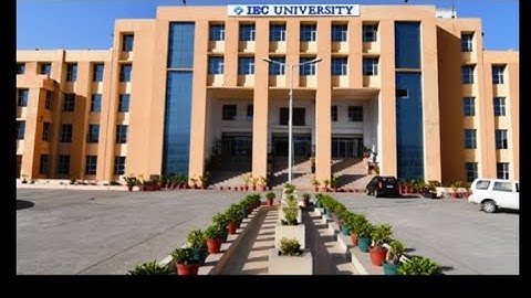 IEC UNIVERSITY ORGANIZED || PHARMACY WEEK