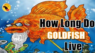 How Long Do Goldfish Live? What Is The Average Lifespan Goldfish