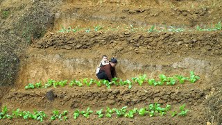 Single Mother and Son Grow Vegetables Together in the Garden and Build a Simple Life