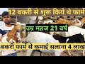 ब्लैक-बंगाल Goat Farming||देशी नस्ल,अंदाज नया||उम्र काफी कम पर अनुभव बहुत ज्यादा #StellarFarming