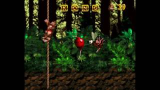 Donkey Kong Country: 101% - Level 3-3: Forest Frenzy