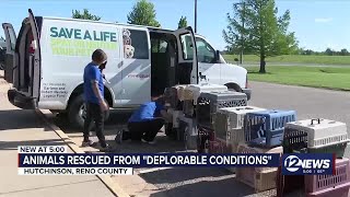Hutchinson Animal Shelter among agencies coming together to rescue dozens of dogs from home