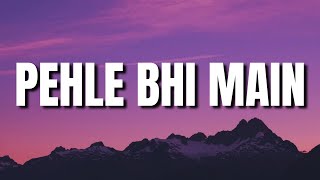 Pehle Bhi Main (Lyrics) - Vishal Mishra | Animal Thumb