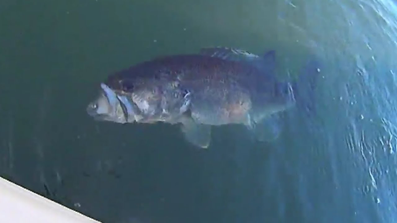 Kayak Fishing for BIG winter Bass (2015) YouTube