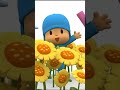 Por Que o Mundo de Pocoyo É Vazio? 🤔  #shorts 