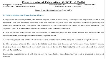 Science Worksheet 27 Class 7 (28/10/2021) English Medium | Worksheet 27 Science Class 7 | Answers |