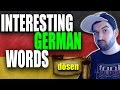 LEARN GERMAN WORDS  dösen - What Does It Mean?  Vocabulary Lesson  VlogDave