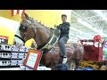 Kicked Walmart!