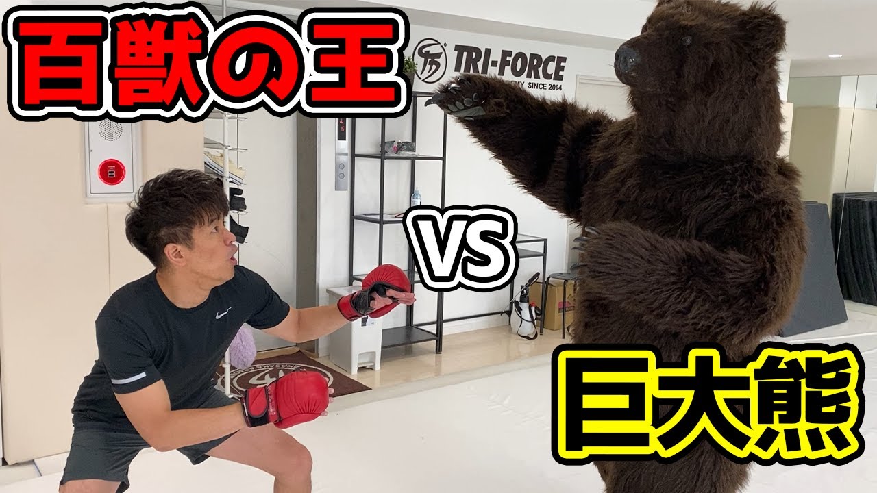 いつも動物の倒し方を語ってる武井壮にガチの熊と戦わせてみた