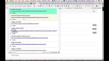 Solid Demo -- Effects of WebID-TLS+Delegation Authentication Protocol