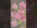 Tulip🌷