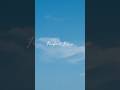 8/25 20:00|Perfect Blue Music Video out