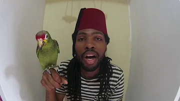 The Moor and The Parrot: Speaking Jamaican