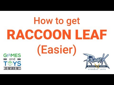 Raccoon Leaf - How to get it (Alternative way) Ragnarok M: Eternal Love | Guide|