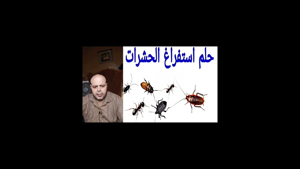 تفسير رؤية حلم استفراغ الحشرات في الأحلام، Insects in a dream، رؤيه ودلالات الحشرات في الحلم، 