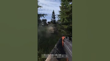 When the team kill ruins the actual kill☹️ #dayz #dayzfunnymoments #dayzfail