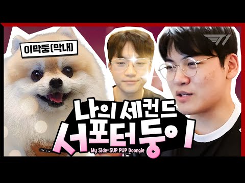 나의 둥이씨 [Gumayusi Stream Highlight]