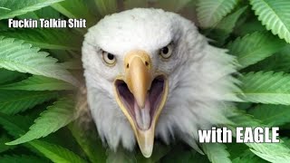 F*$kin Talkin Shit With Eagle Ep300 ft Smokin With Small Town