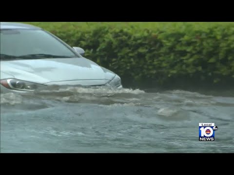 Cutler Bay is waterlogged and it’s a ‘100-year-water event,’ officials say
