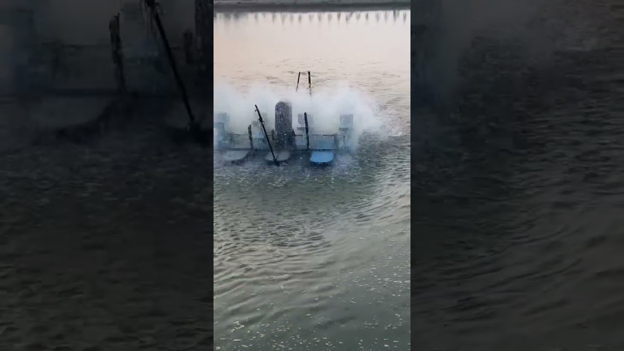 Fish farming in Punjab