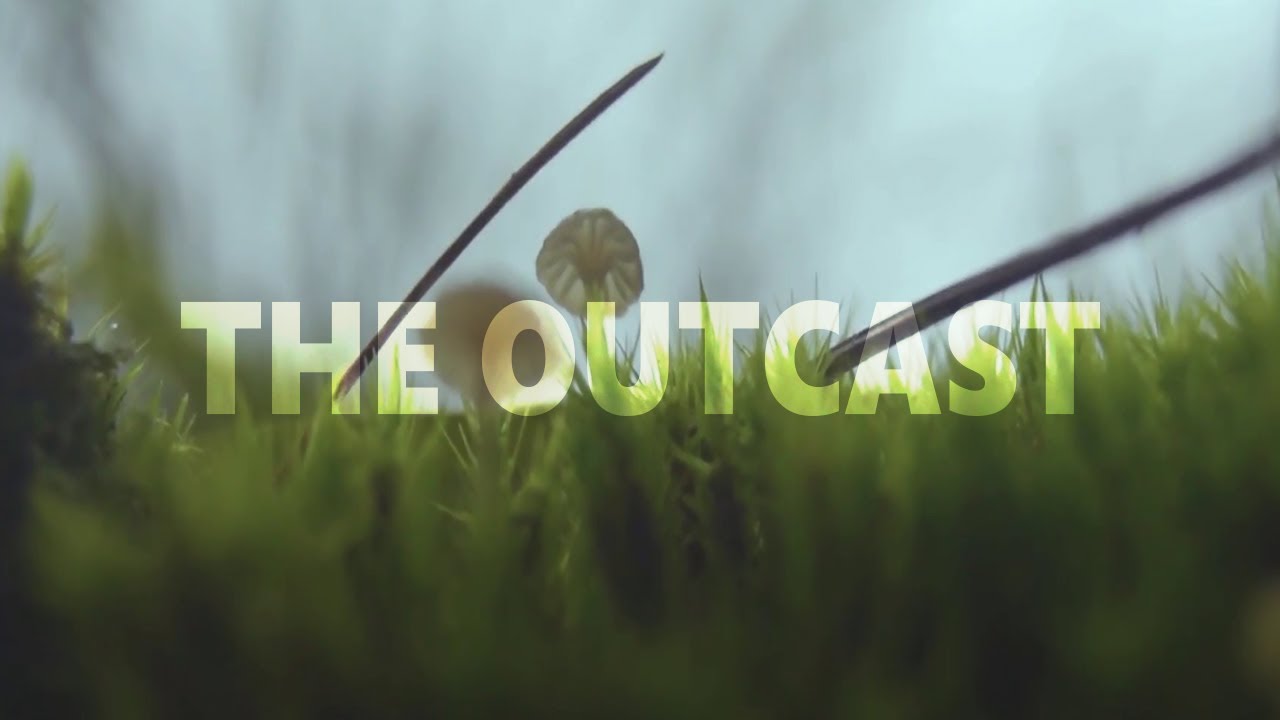 The Outcast - Visual Poetry