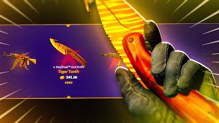 Is XFUN Legit? Promo Code and BIG Test 2025 🔥