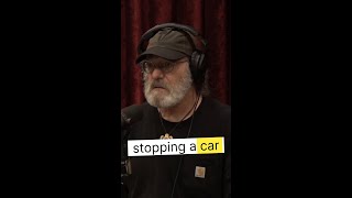 Paul Stamets Forgiveness Through Psychedelics: A Path to Healing Joe Rogan Experience #2347