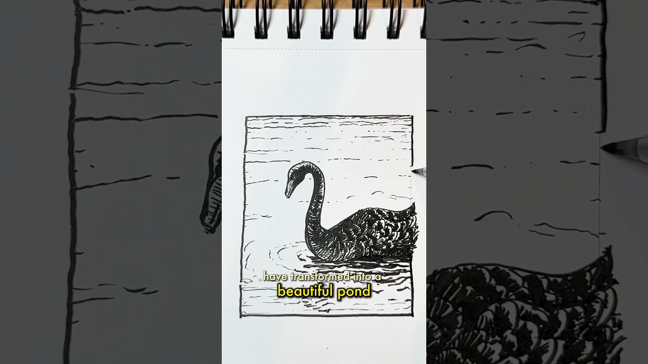 Рисование воды пером и чернилами — полезные советы 