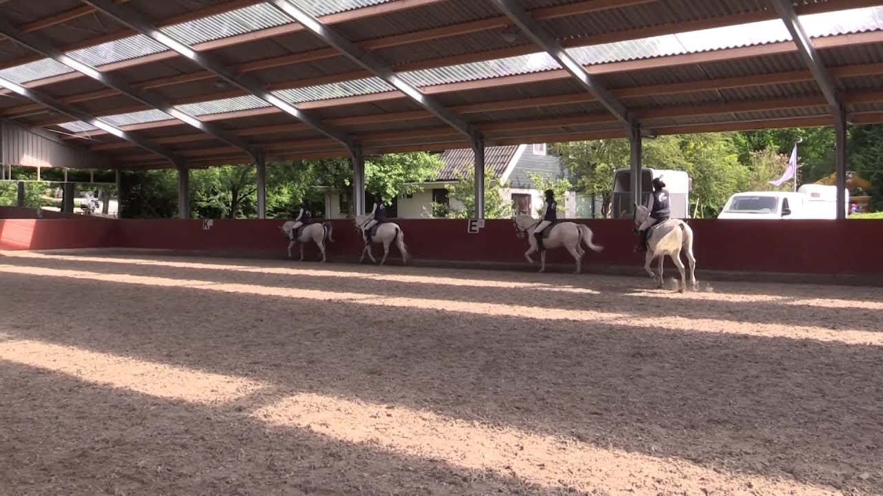 Open dag Manege Lelystad 2014