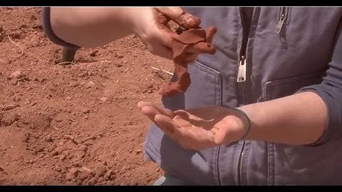 Soils: Determining Soil Texture