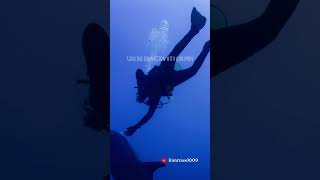 A genuine connection with a 🐬