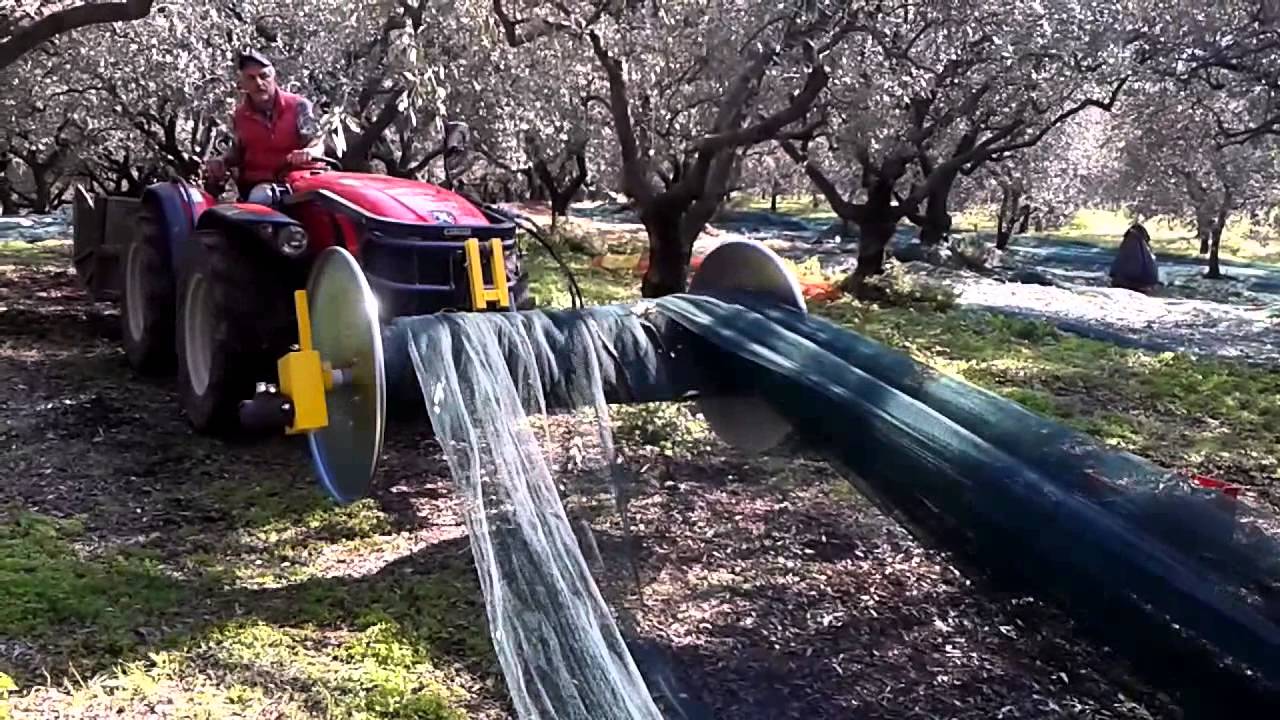 Avvolgitelo rete olive parte3