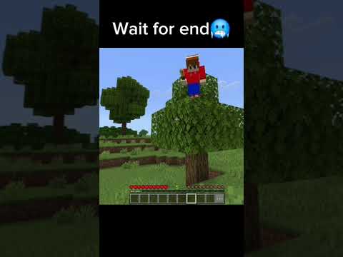 এটা আমি কী দেখলাম?😨😨 | #minecraft #shorts #scarymoment #fuunymoment #minecraftmems