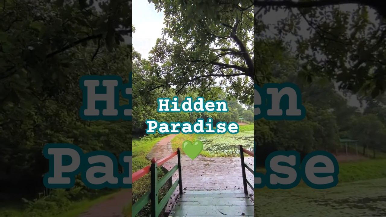 Dhaka’s Hidden Green Escape 🌳|Relaxing Nature Walk in Botanical Garden Dhaka #shorts #shortsfeed