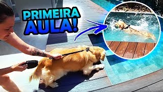 PRIMEIRA AULA DO SLINKY NA PISCINA! DEU TUDO ERRADO😒