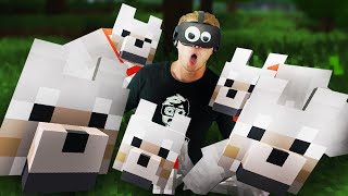 I JUST STARTED THE BIGGEST WOLF FAMILY in MINECRAFT VR!!?! Minecraft Virtual Reality Oculus I JUST STARTED THE BIGGEST WOLF FAMILY in MINECRAFT VR!!?! Minecraft Virtual Reality Oculus