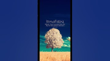 إسلام صبحي سورة المؤمنون #قرآن