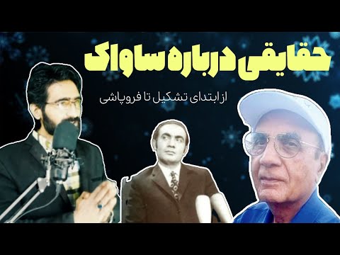 تصویری: مغز متفکران بر اساس چه کسانی هستند؟