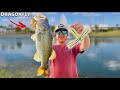 FISHING With DRAGONFLY Lure CHALLENGE!