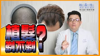 【楊氏羅丹x熱門問答】植髮是否需要剃髮？ 
