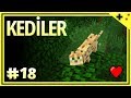 KEDİLER BU SEFER KAÇAMADI - Minecraft Türkçe Survival - S2 Bölüm 18