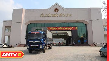 Trung Quốc Dừng Thông Quan Tại Cửa Khẩu Quốc Tế Tà Lùng | Tin Tức 24h | ANTV