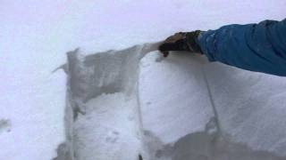 handshear1.21.12.mov