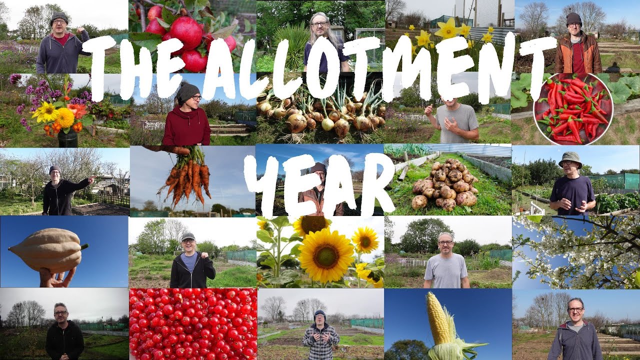 Садовый год — 12 месяцев на садовом участке — Что я сеял и выращивал каждый месяц в 2025 году