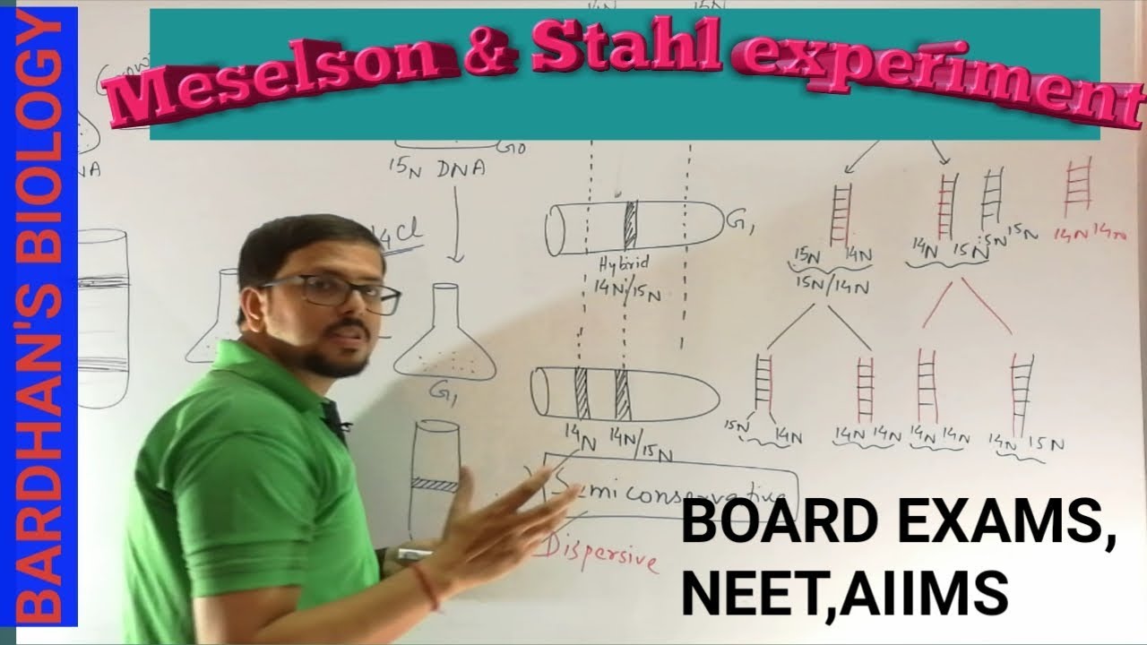 Meselson and Stahl experiment (in HINDI) -prove DNA replication is semiconservative