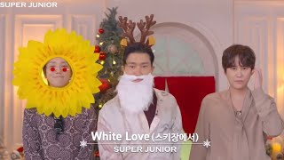 슈퍼주니어 - White Love(스키장에서) 라이브