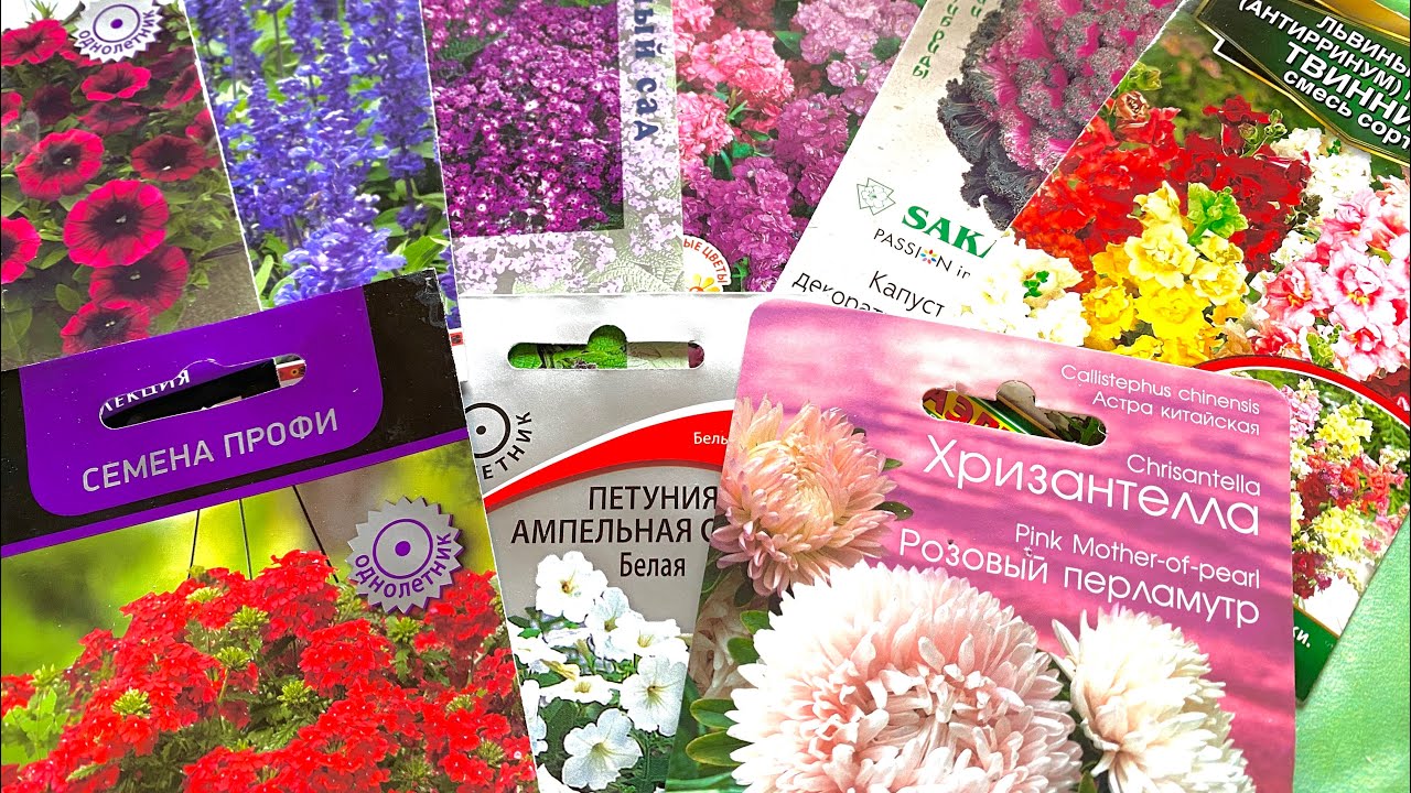 ✨💥💐Семена цветов-обзор сезона 2023 ! Калейдоскоп простых и одновременно роскошных однолеток