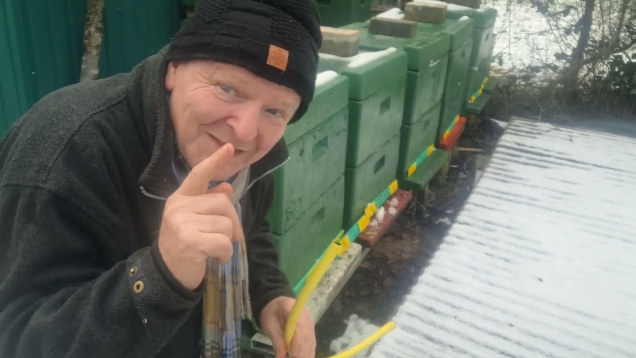 Winterkontrolle am Bienenstand. 