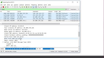 DHCP ( DORA, Wireshark, DHCP Release, DHCP Options)