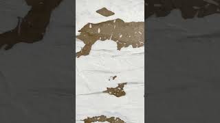 White Space painting By Poggio Di Poggio